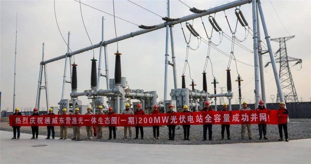 通威新能源东营渔光一体示范园一期200MW光伏发电项目220kV升压站